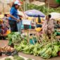 mkt 1