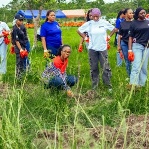 WhatsApp Image 2026-04-26 at 12.01.49